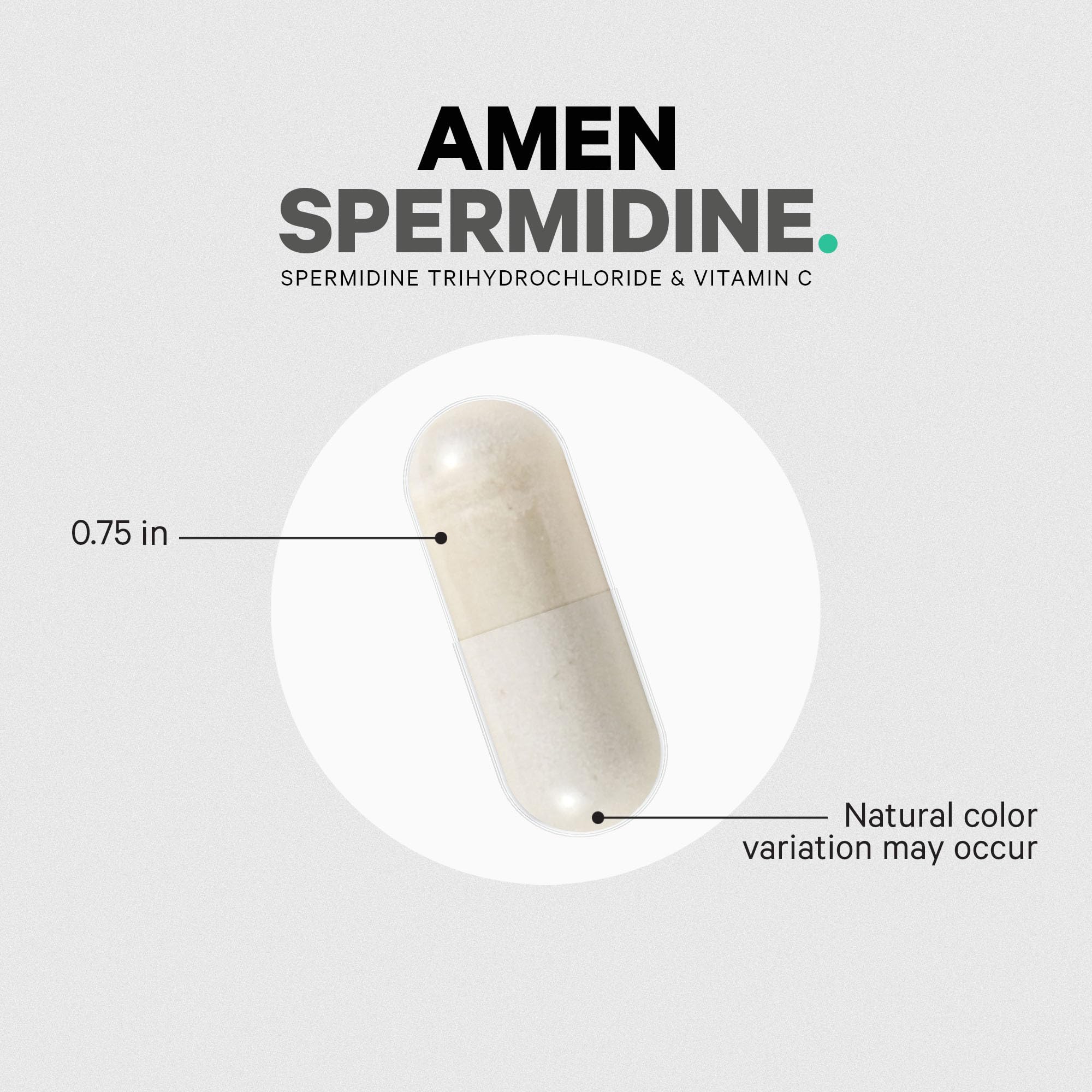 Amen Spermidine Supplement - Spermidine Trihydrochloride Pills with Vitamin C Ascorbic Acid - Only 1 Capsule Per Serving - Vegan, Non-GMO, Gluten-Free - 30 Capsules - Image 8