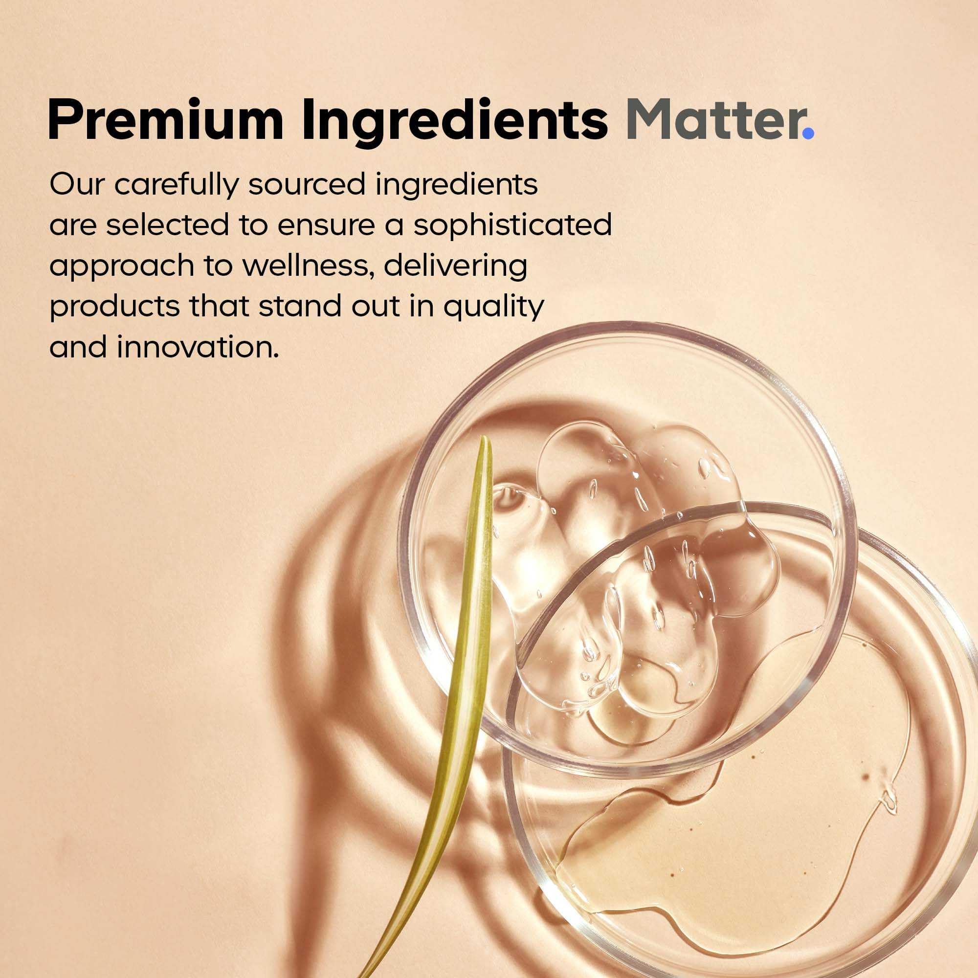 Codeage Probiotic+ 100 Billion CFU Supplement - 12-Strain Probiotic Blend, Organic Prebiotic Fiber, Postbiotics, Vitamin D3, Zinc Bisglycinate, Quercetin - for Men & Women - Non-GMO- 30 Capsules - Image 4