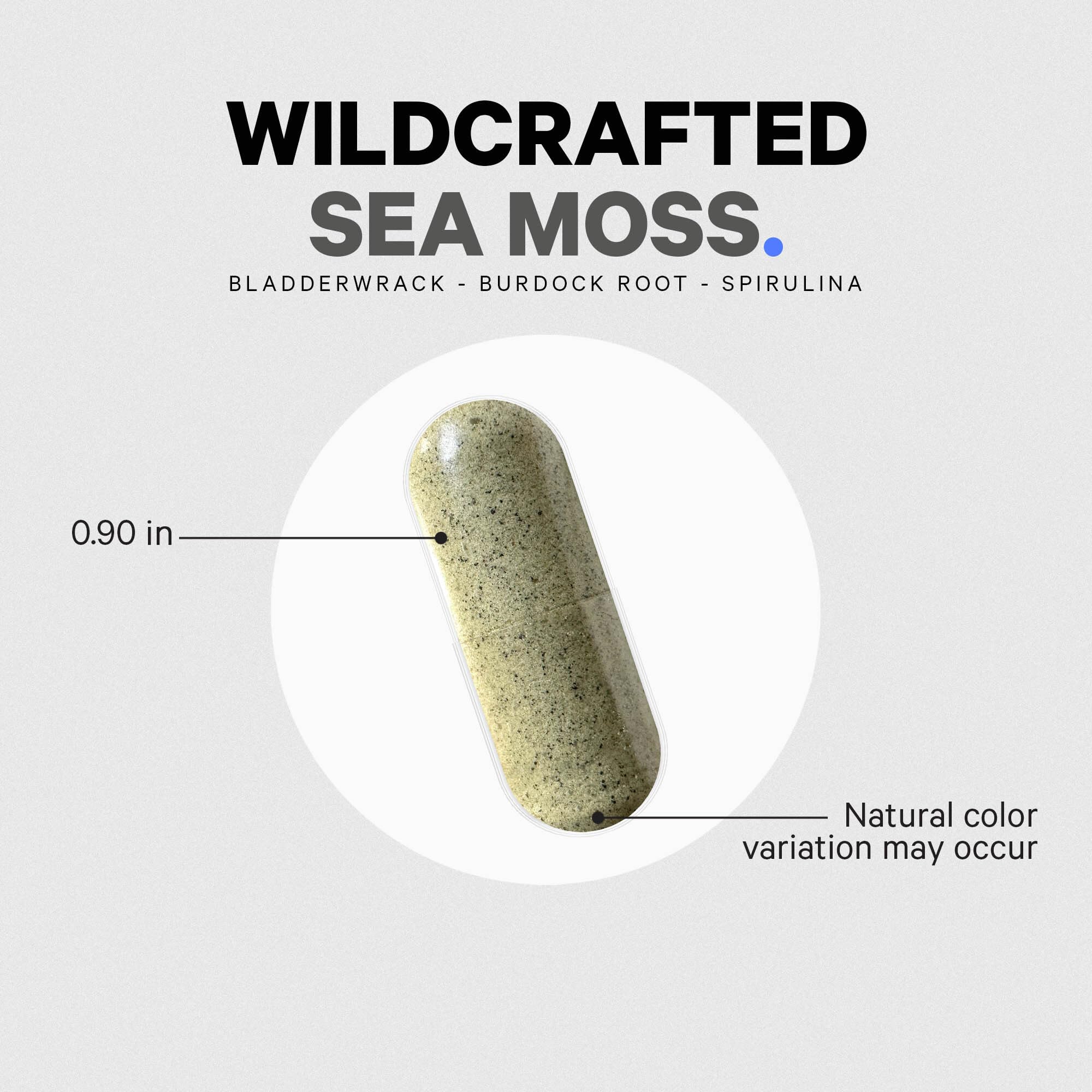 Codeage Raw Wildcrafted Irish Sea Moss Supplement, Spirulina Algae, Bladderwrack Seaweed, Burdock Root, Black Pepper, Vegan, Non-GMO, 120 Capsules - Image 8
